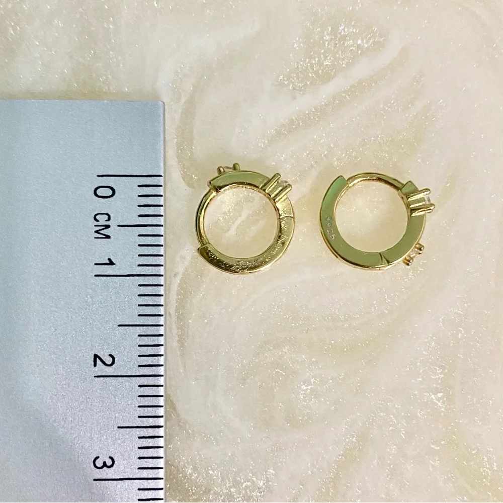 Elegant Gold Hoop Earrings